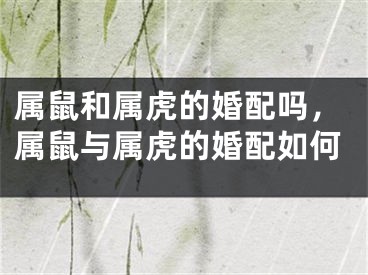 属鼠和属虎的婚配吗,属鼠与属虎的婚配如何