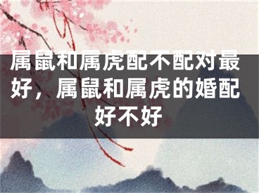属鼠和属虎配不配对最好，属鼠和属虎的婚配好不好