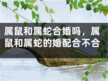属鼠和属蛇合婚吗，属鼠和属蛇的婚配合不合