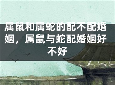 属鼠和属蛇的配不配婚姻，属鼠与蛇配婚姻好不好