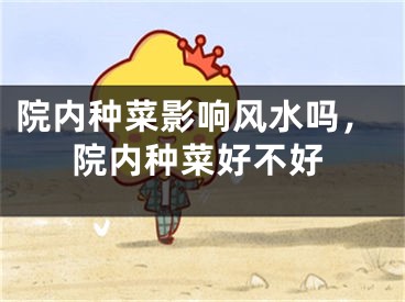 院内种菜影响风水吗，院内种菜好不好
