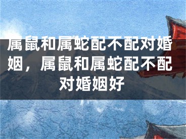 属鼠和属蛇配不配对婚姻，属鼠和属蛇配不配对婚姻好