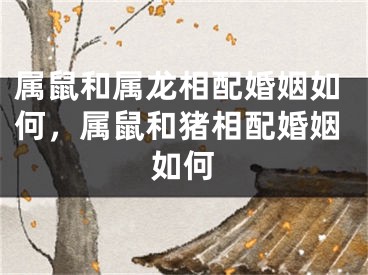 属鼠和属龙相配婚姻如何，属鼠和猪相配婚姻如何