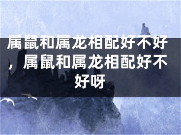 属鼠和属龙相配好不好，属鼠和属龙相配好不好呀