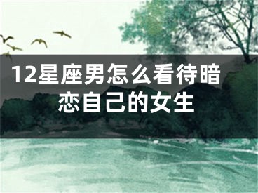 12星座男怎么看待暗恋自己的女生