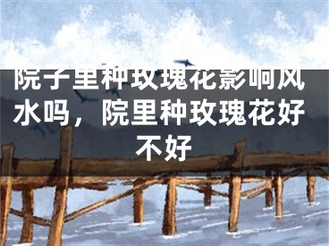 院子里种玫瑰花影响风水吗，院里种玫瑰花好不好