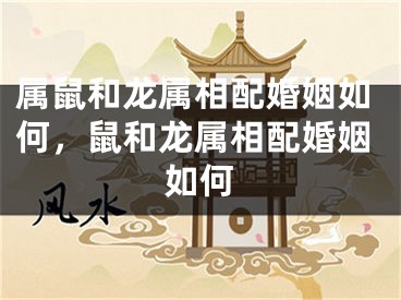 属鼠和龙属相配婚姻如何，鼠和龙属相配婚姻如何