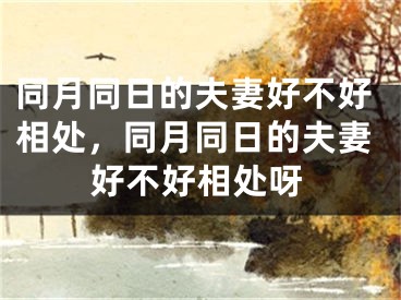 同月同日的夫妻好不好相处，同月同日的夫妻好不好相处呀