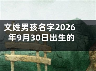 文姓男孩名字2026年9月30日出生的