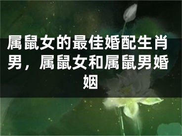 属鼠女的最佳婚配生肖男,属鼠女和属鼠男婚姻