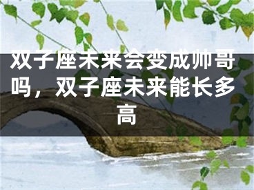 双子座未来会变成帅哥吗,双子座未来能长多高
