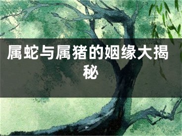属蛇与属猪的姻缘大揭秘