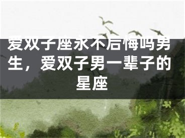 爱双子座永不后悔吗男生，爱双子男一辈子的星座
