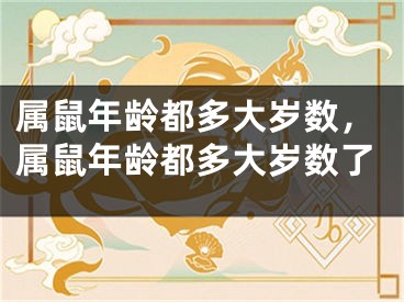 属鼠年龄都多大岁数，属鼠年龄都多大岁数了