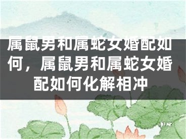 属鼠男和属蛇女婚配如何,属鼠男和属蛇女婚配如何化解相冲