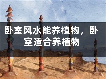 卧室风水能养植物，卧室适合养植物