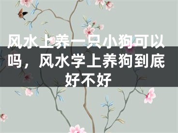 风水上养一只小狗可以吗，风水学上养狗到底好不好