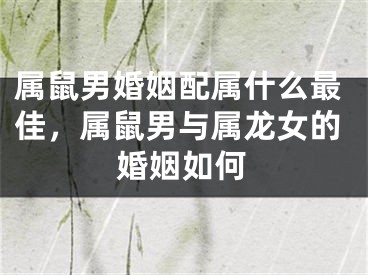 属鼠男婚姻配属什么最佳,属鼠男与属龙女的婚姻如何