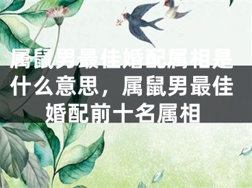 属鼠男最佳婚配属相是什么意思，属鼠男最佳婚配前十名属相