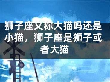 狮子座又称大猫吗还是小猫,狮子座是狮子或者大猫