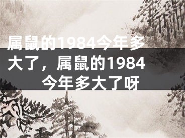 属鼠的1984今年多大了,属鼠的1984今年多大了呀