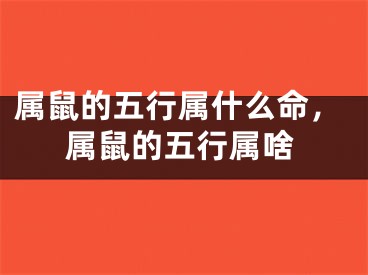 属鼠的五行属什么命,属鼠的五行属啥