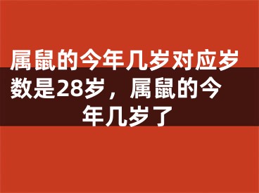 属鼠的今年几岁对应岁数是28岁,属鼠的今年几岁了