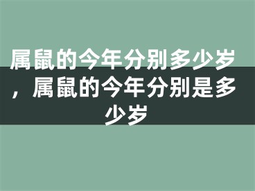 属鼠的今年分别多少岁，属鼠的今年分别是多少岁