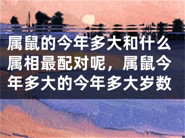 属鼠的今年多大和什么属相最配对呢,属鼠今年多大的今年多大岁数