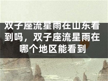 双子座流星雨在山东看到吗，双子座流星雨在哪个地区能看到