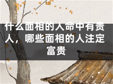 什么面相的人命中有贵人,哪些面相的人注定富贵