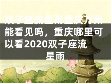 双子座流星雨重庆万州能看见吗,重庆哪里可以看2020双子座流星雨