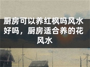 厨房可以养红枫吗风水好吗，厨房适合养的花风水
