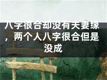 八字很合却没有夫妻缘，两个人八字很合但是没成