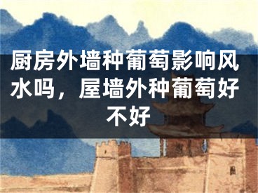 厨房外墙种葡萄影响风水吗，屋墙外种葡萄好不好