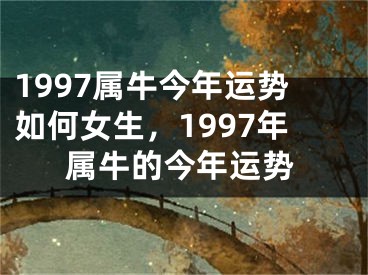 1997属牛今年运势如何女生，1997年属牛的今年运势