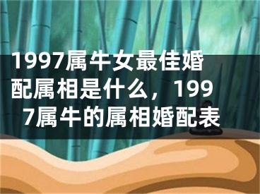 1997属牛女最佳婚配属相是什么，1997属牛的属相婚配表