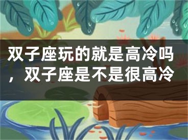 双子座玩的就是高冷吗，双子座是不是很高冷