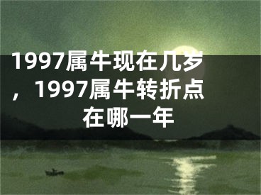 1997属牛现在几岁,1997属牛转折点在哪一年