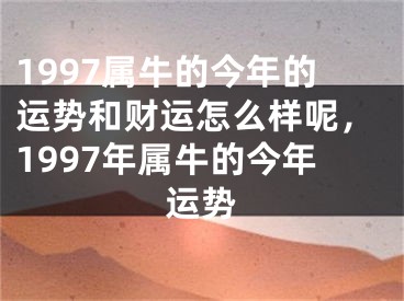 1997属牛的今年的运势和财运怎么样呢，1997年属牛的今年运势