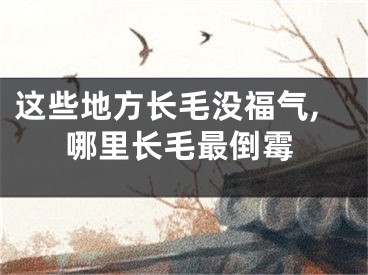 这些地方长毛没福气,哪里长毛最倒霉