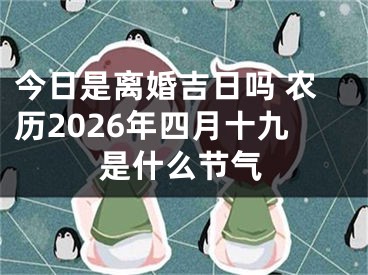 今日是离婚吉日吗 农历2026年四月十九是什么节气