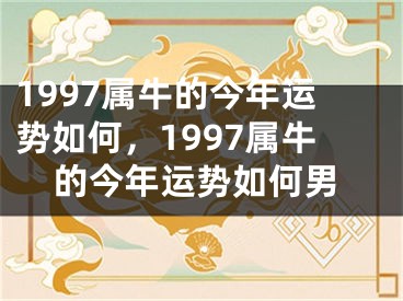 1997属牛的今年运势如何,1997属牛的今年运势如何男