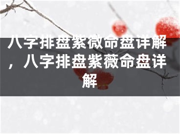 八字排盘紫微命盘详解,八字排盘紫薇命盘详解
