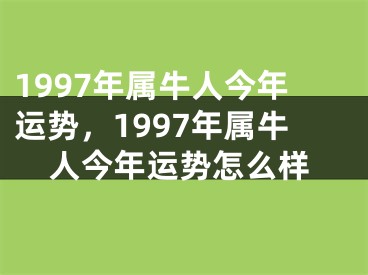 1997年属牛人今年运势，1997年属牛人今年运势怎么样