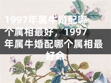 1997年属牛婚配哪个属相最好，1997年属牛婚配哪个属相最好命