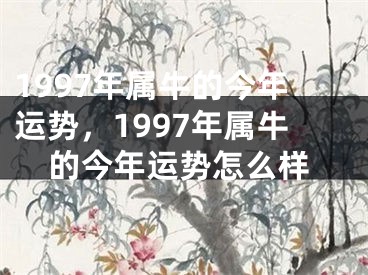1997年属牛的今年运势，1997年属牛的今年运势怎么样