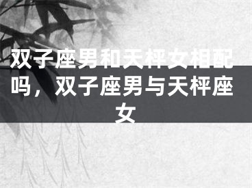 双子座男和天枰女相配吗,双子座男与天枰座女