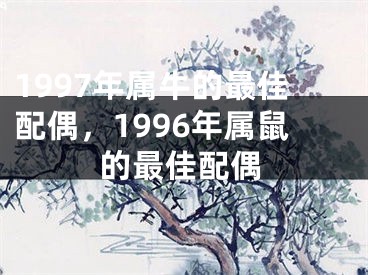 1997年属牛的最佳配偶，1996年属鼠的最佳配偶