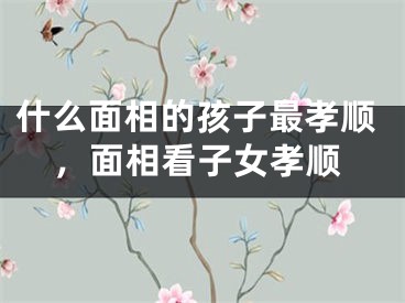 什么面相的孩子最孝顺，面相看子女孝顺